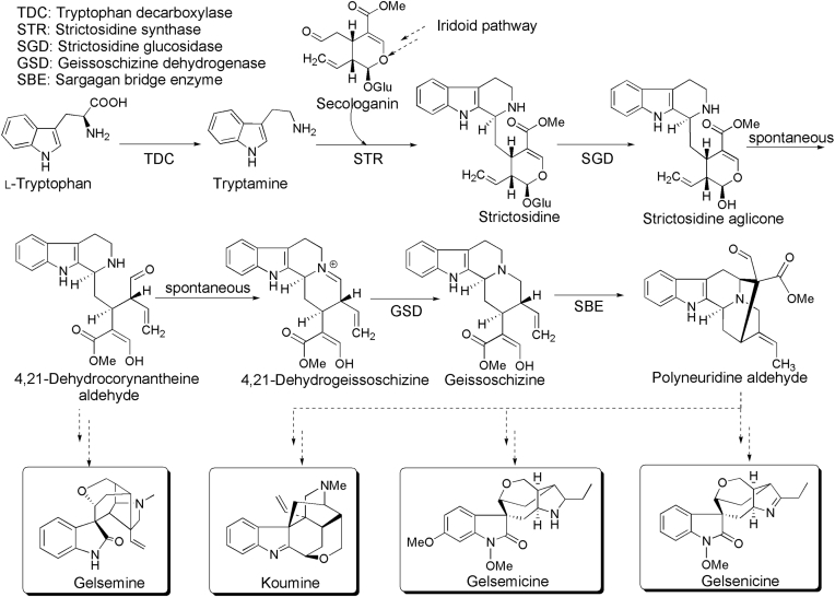 Scheme 1