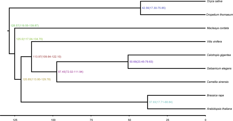 Figure 4