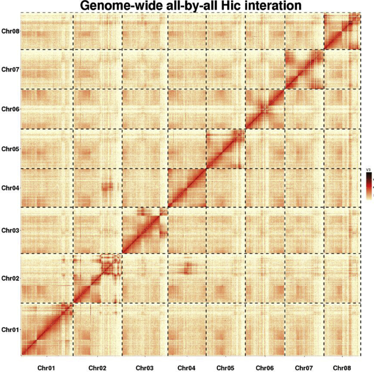 Figure 2