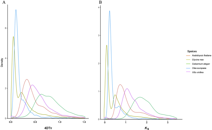 Figure 5