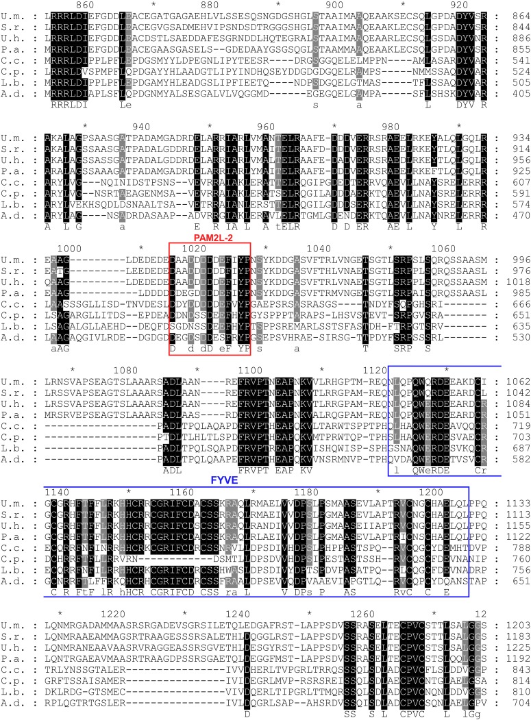 Figure 3—figure supplement 4.