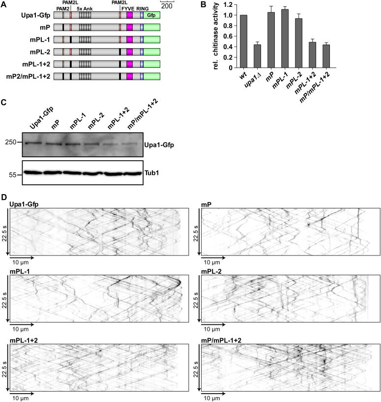 Figure 3—figure supplement 7.