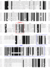 Figure 3—figure supplement 4.
