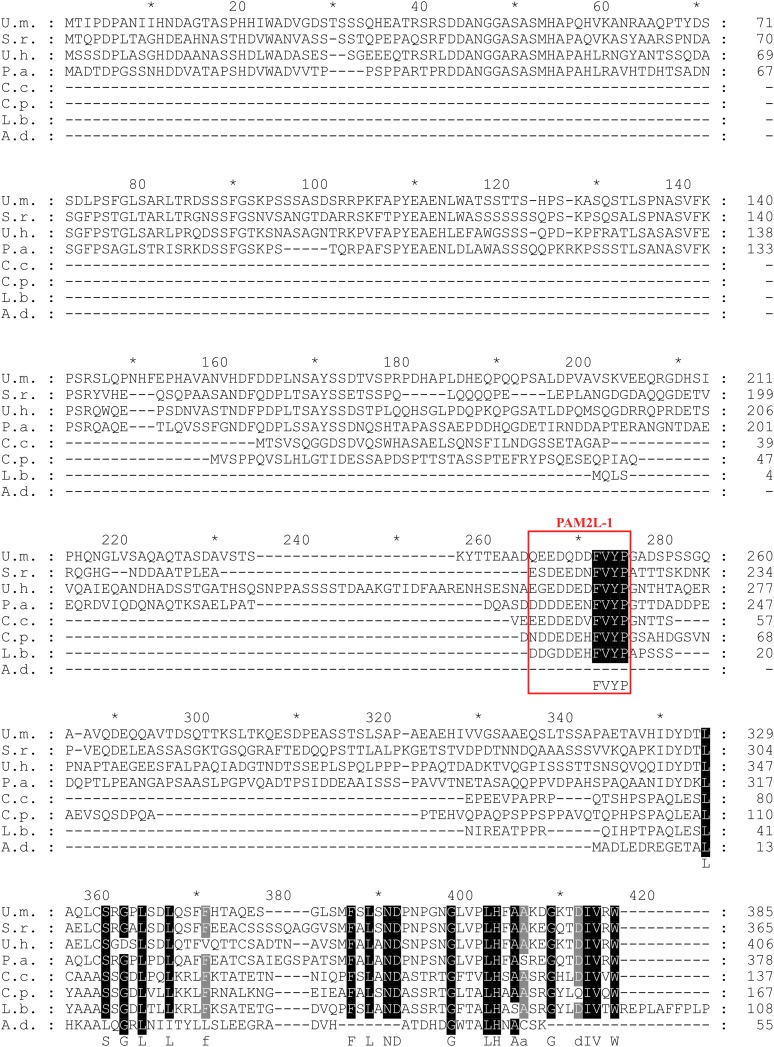 Figure 3—figure supplement 3.