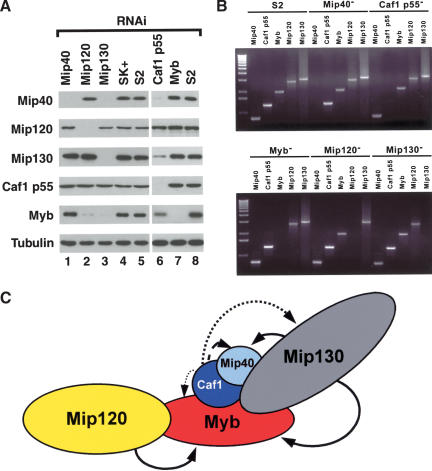 Figure 3.