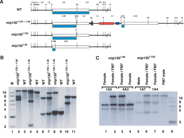 Figure 1.