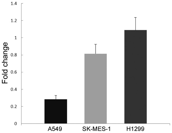 Figure 5.