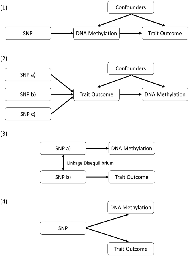 Figure 1