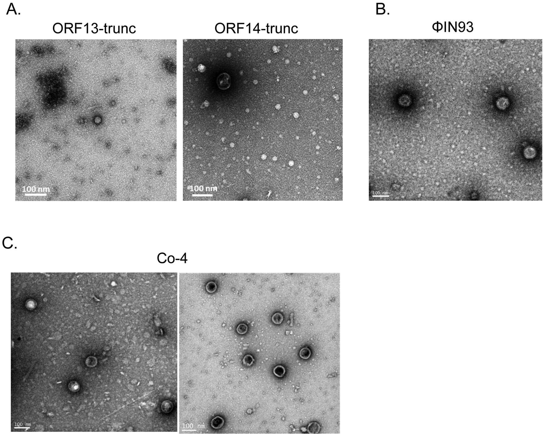 Figure 6: