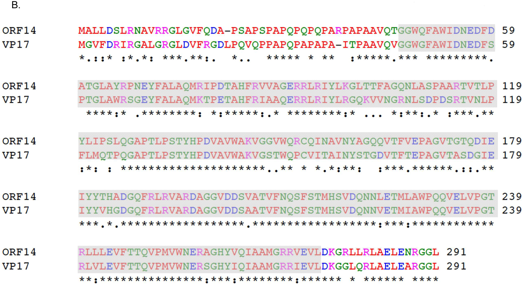 Figure 1: