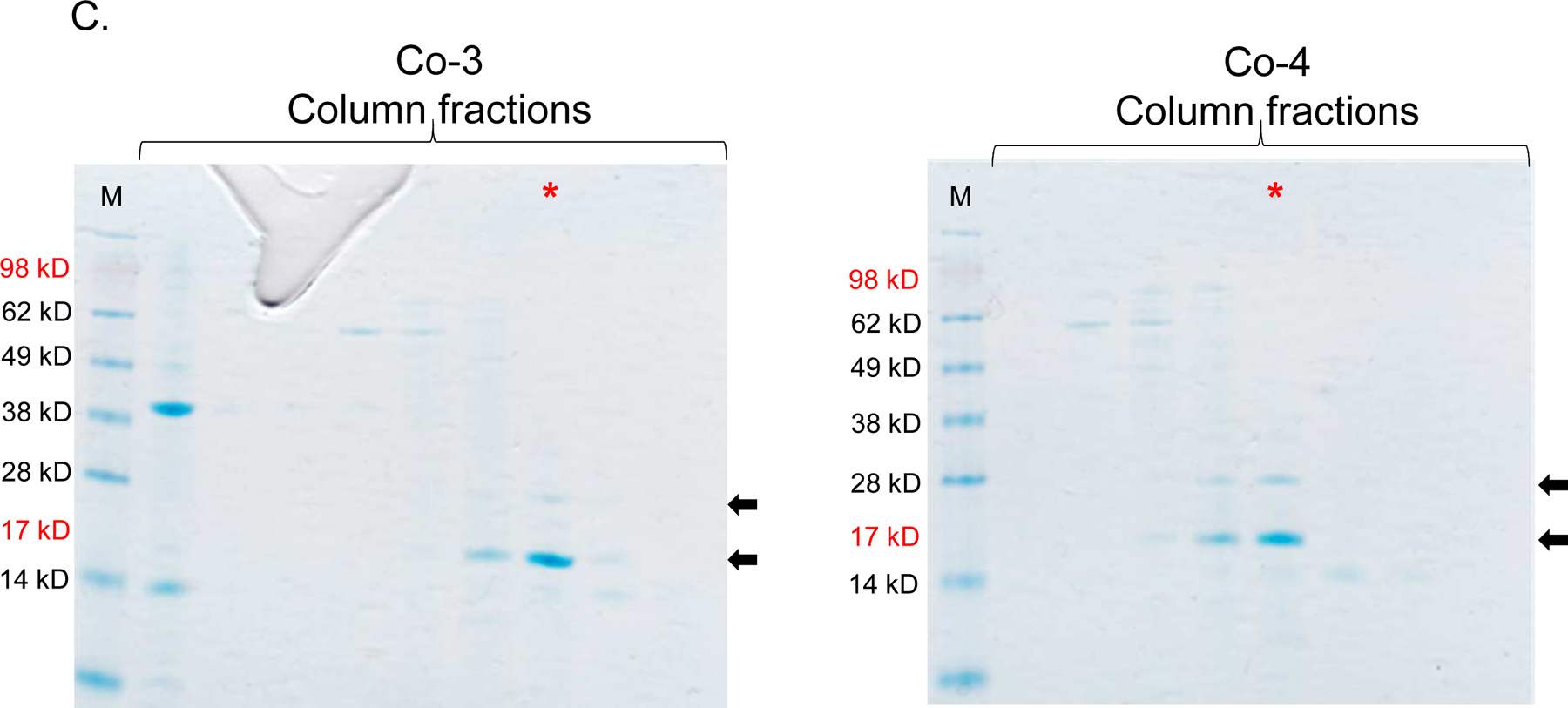 Figure 5: