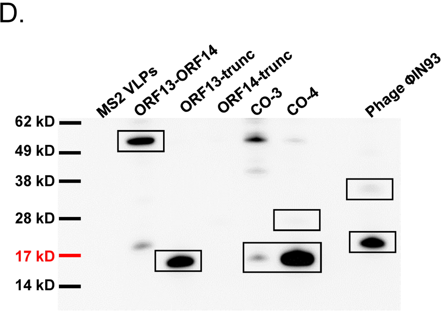 Figure 5: