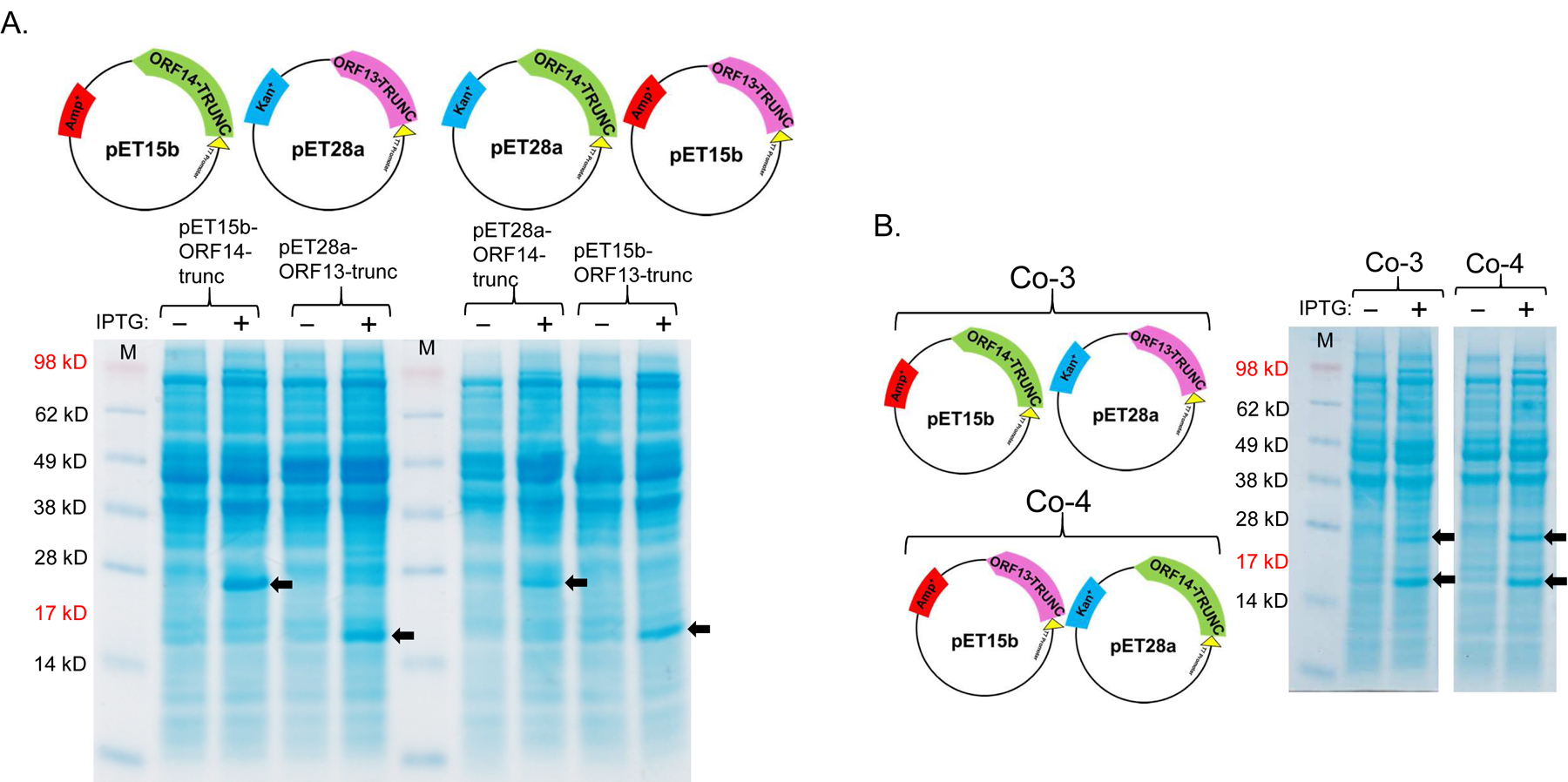 Figure 5: