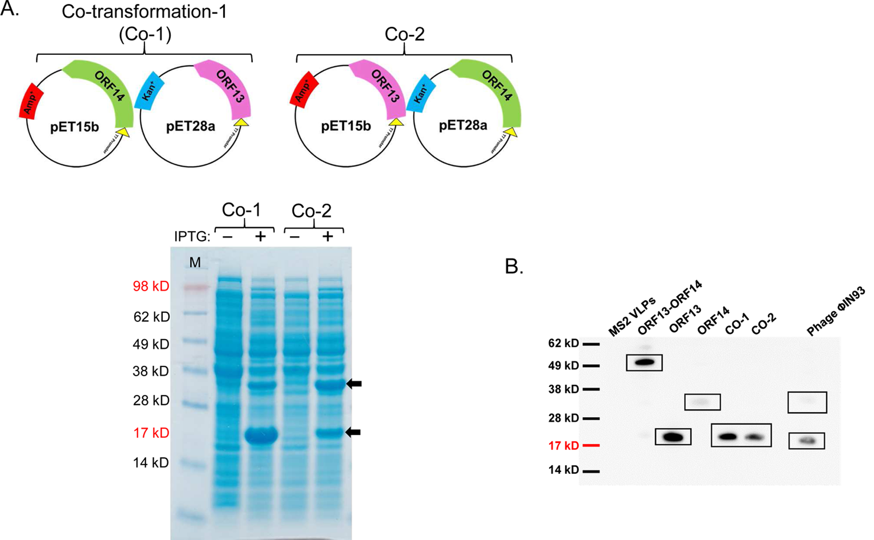 Figure 3: