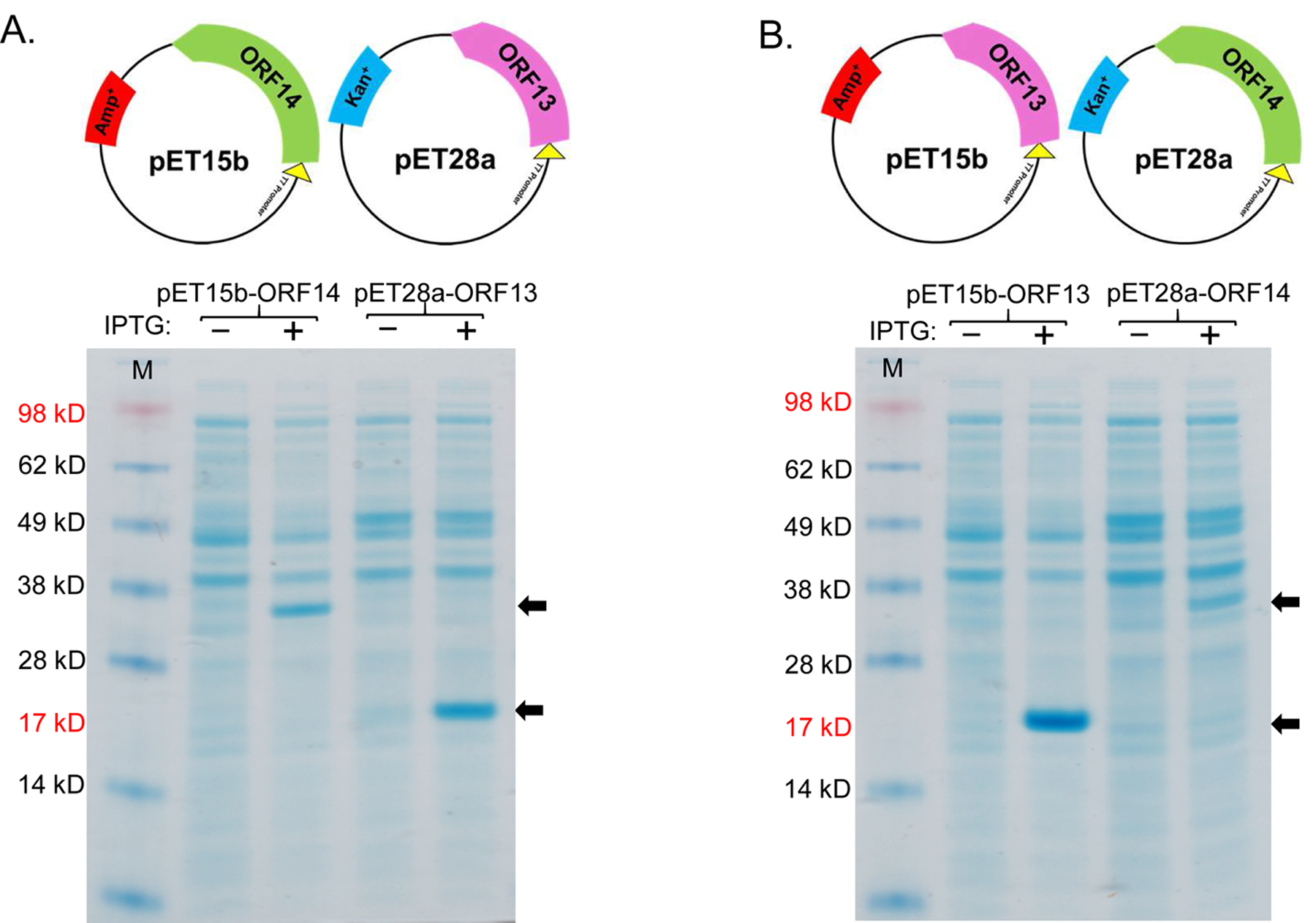 Figure 2: