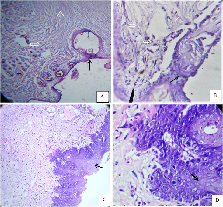 Figure 4