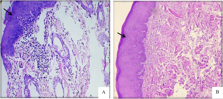 Figure 6