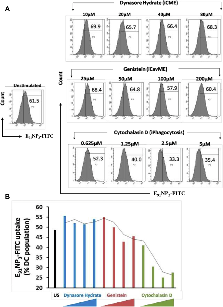 Figure 6