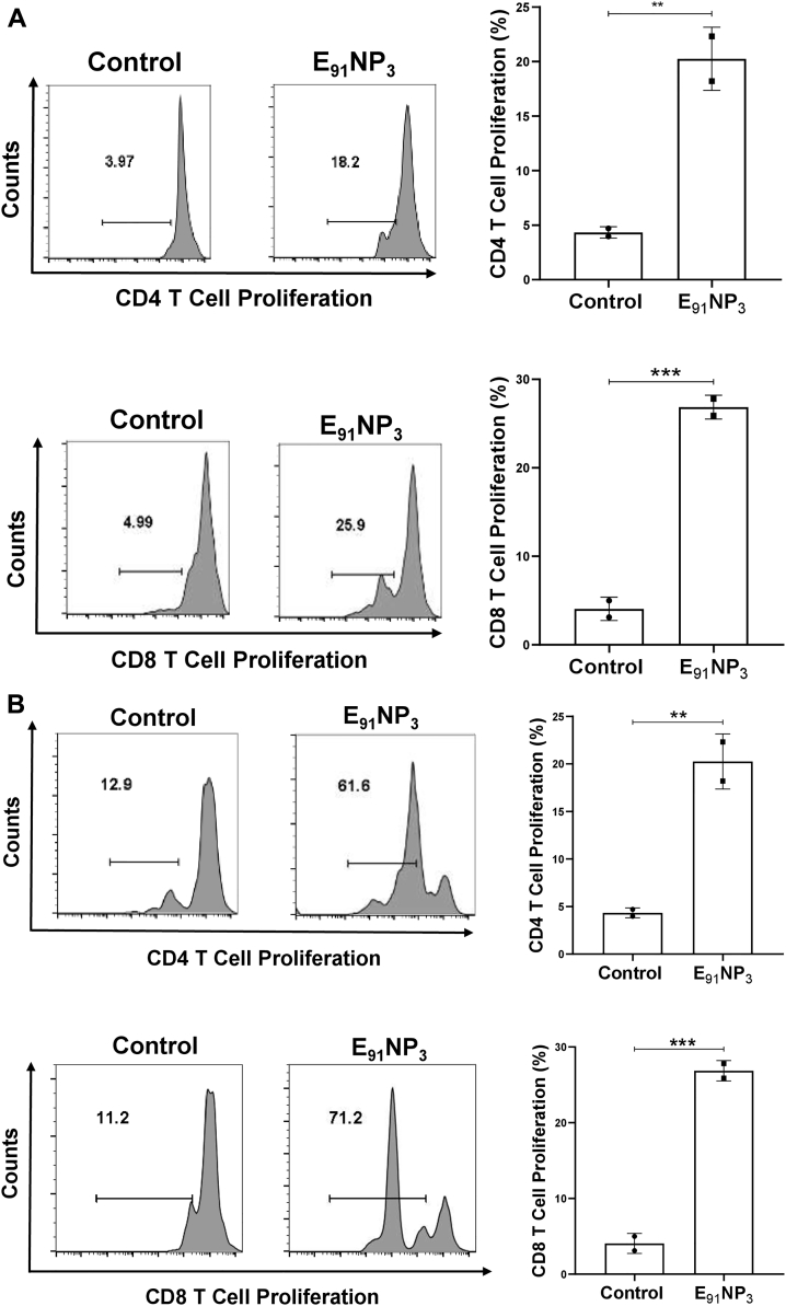 Figure 9