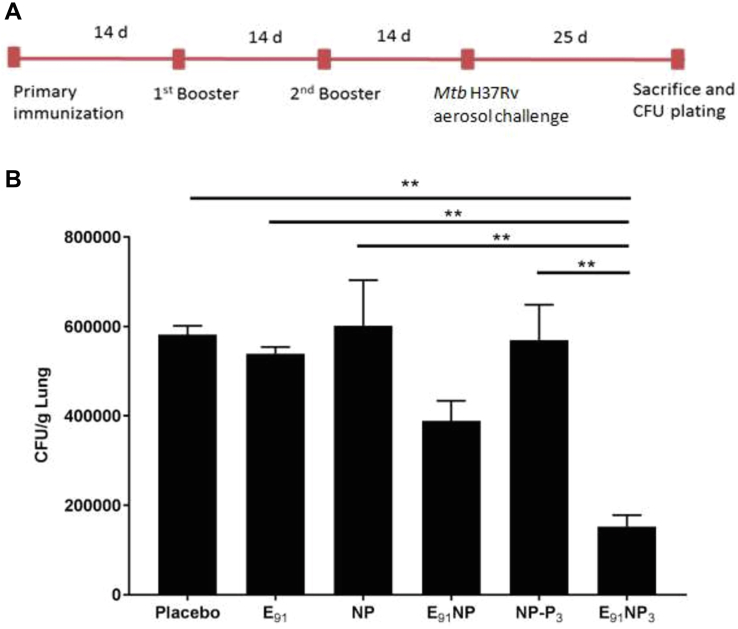 Figure 10