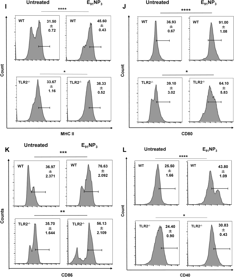 Figure 5