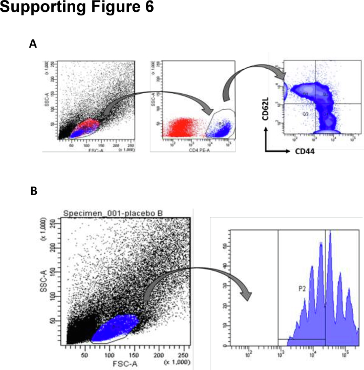 Supplemental Figure 6 A,B