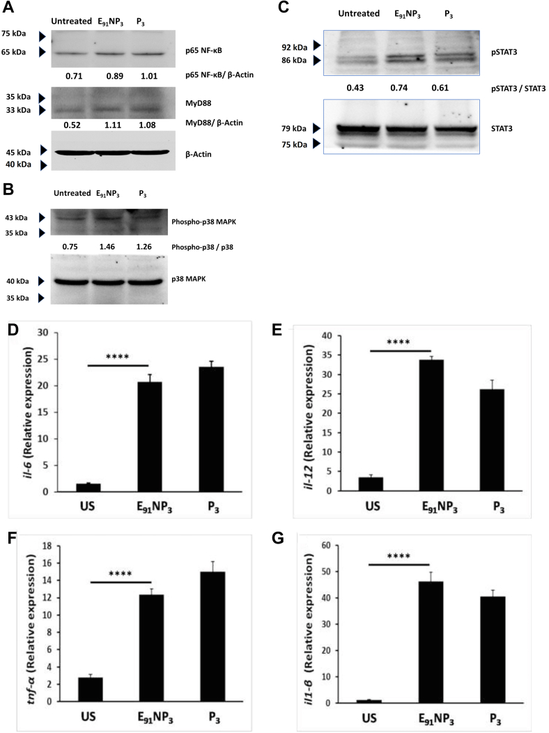 Figure 5