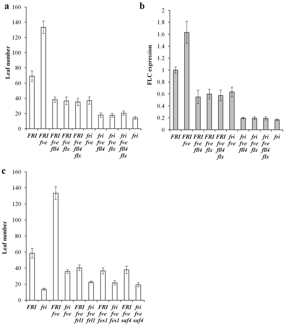 Figure 7