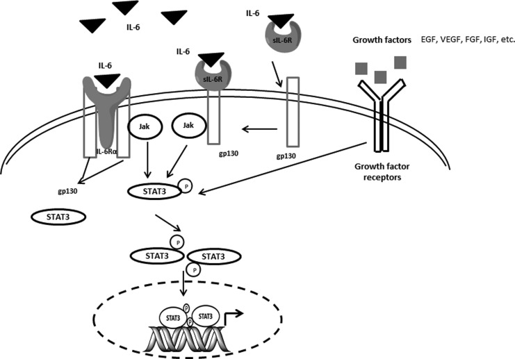 FIG. 5.