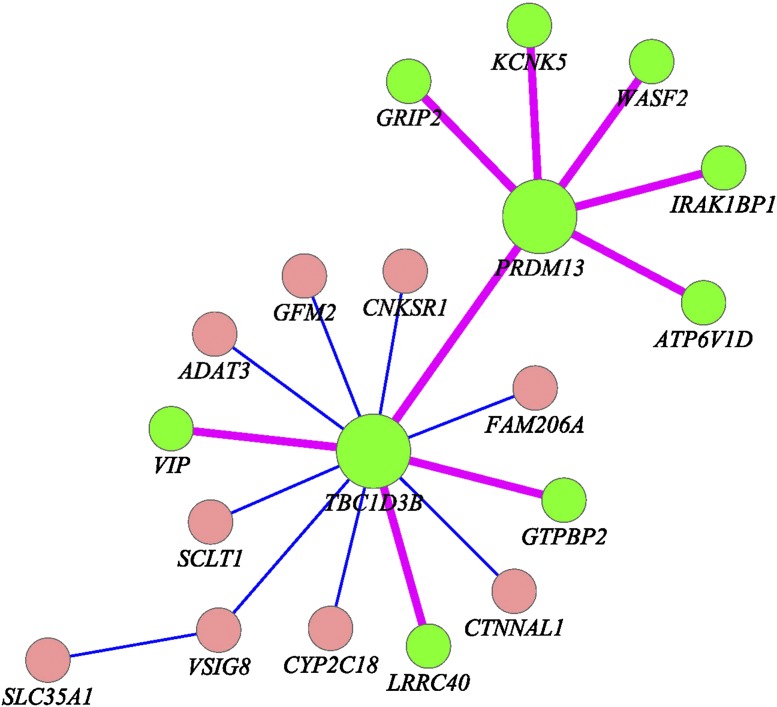 Figure 4.