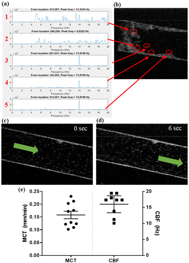 Fig. 7.