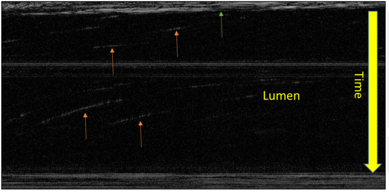 Fig. 8.