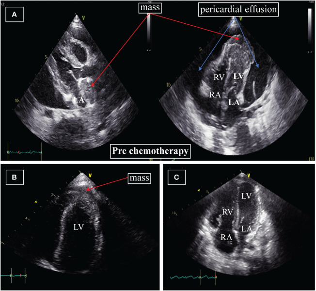 Figure 1