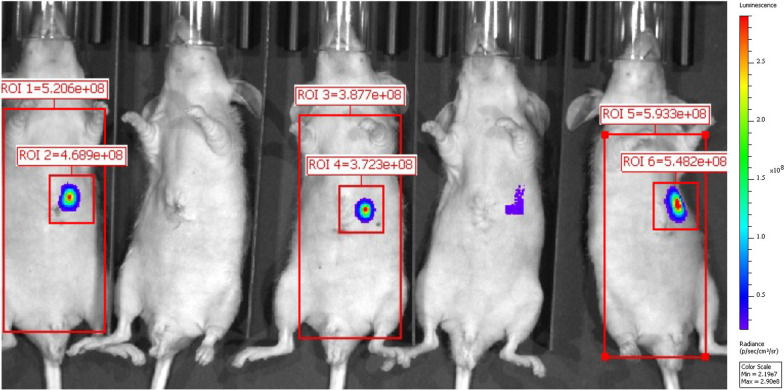 Fig. 2