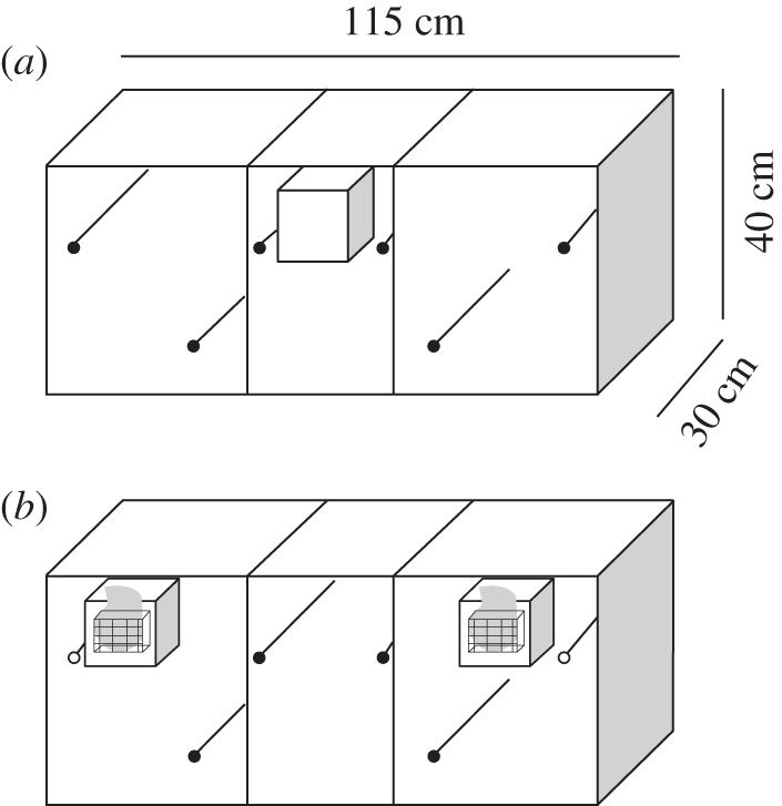 Figure 1.