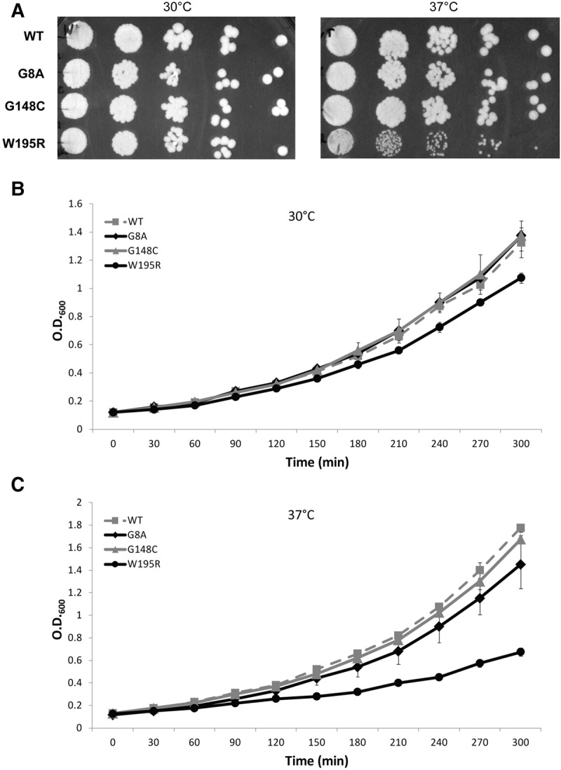 FIGURE 2.