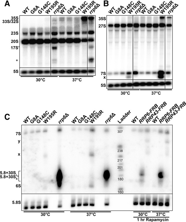 FIGURE 4.