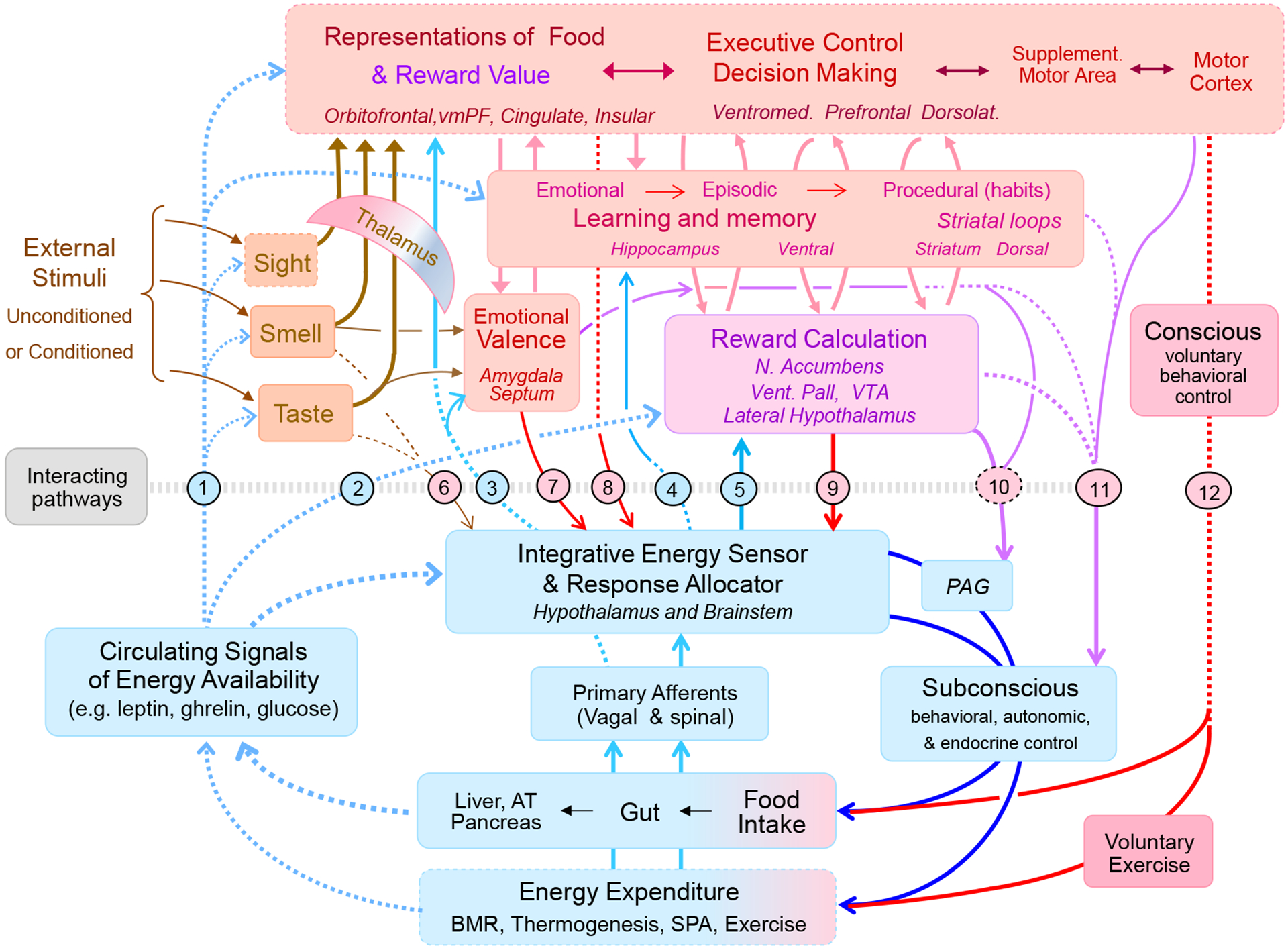 Fig. 3.