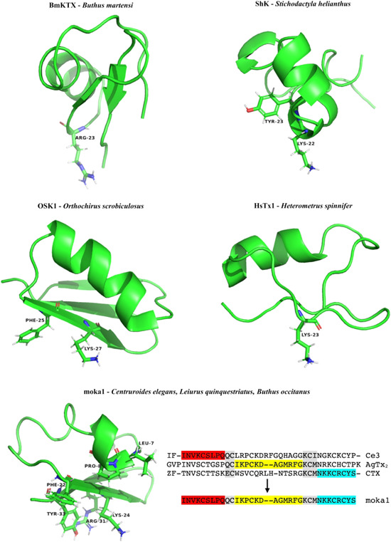 Figure 5