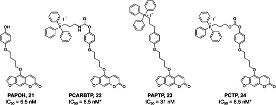 Figure 20