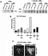 FIG. 6