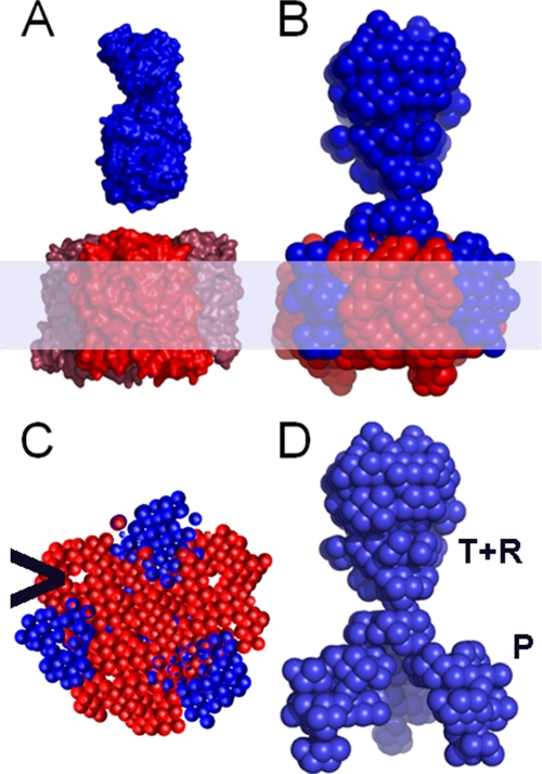 FIGURE 7.