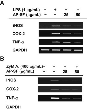 Fig. 3