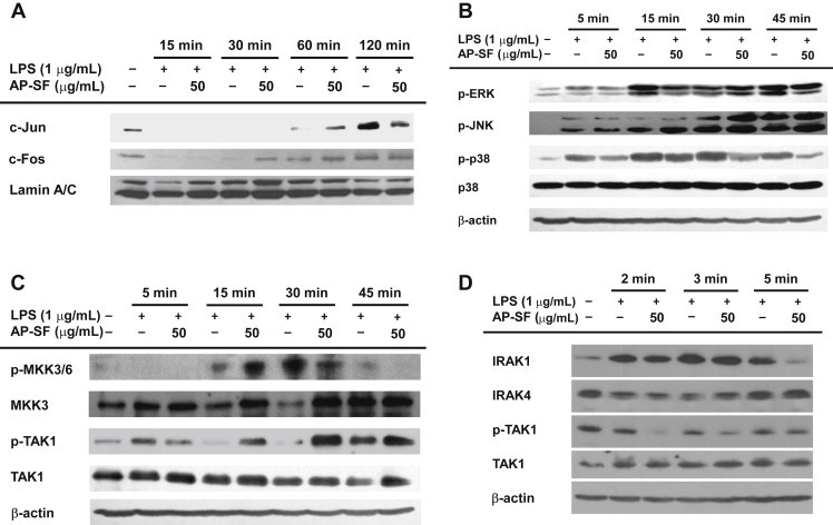 Fig. 4