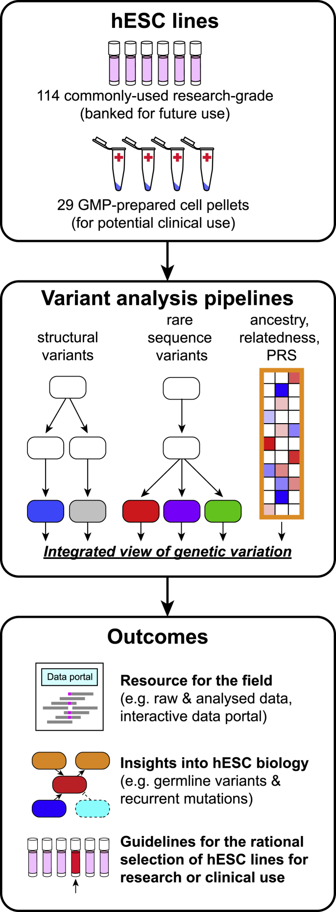 Figure 1