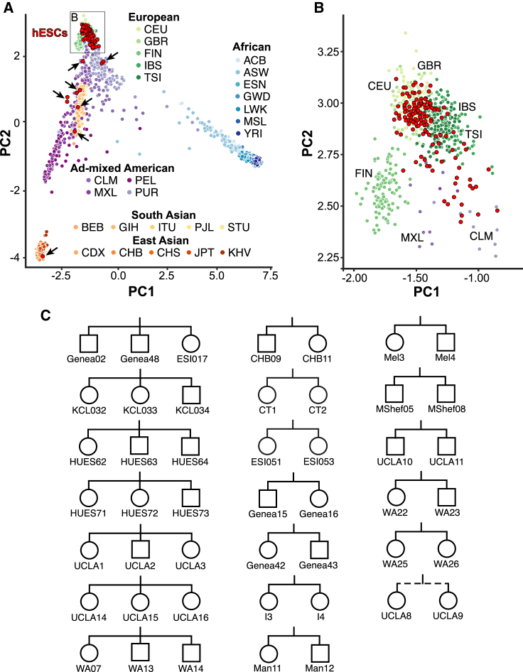 Figure 2