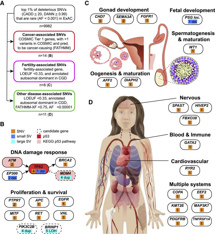 Figure 6