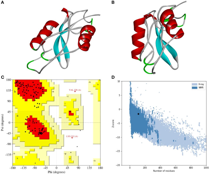 Figure 5