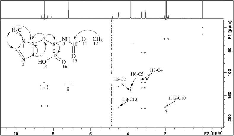 Fig. 9
