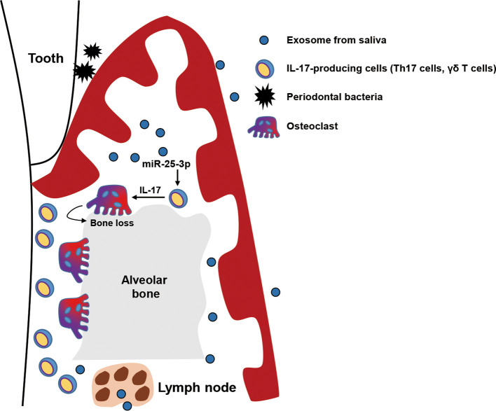 Figure 5